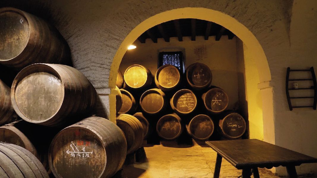 bodega Bodegas Alonso