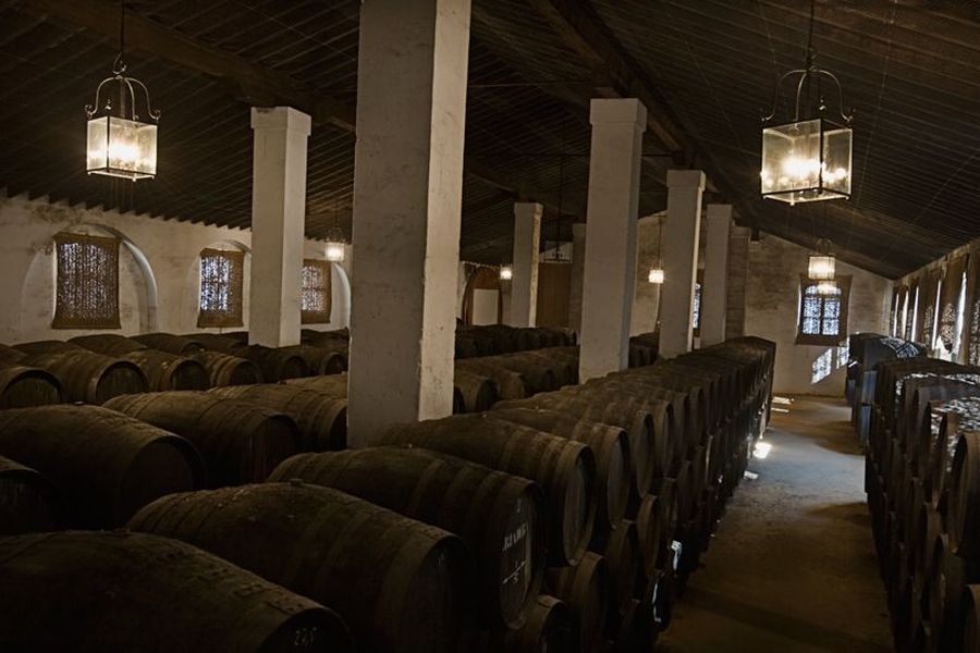 bodega Bodegas Álvaro Domecq