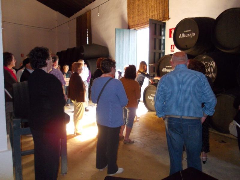 bodega Bodegas Álvaro Domecq