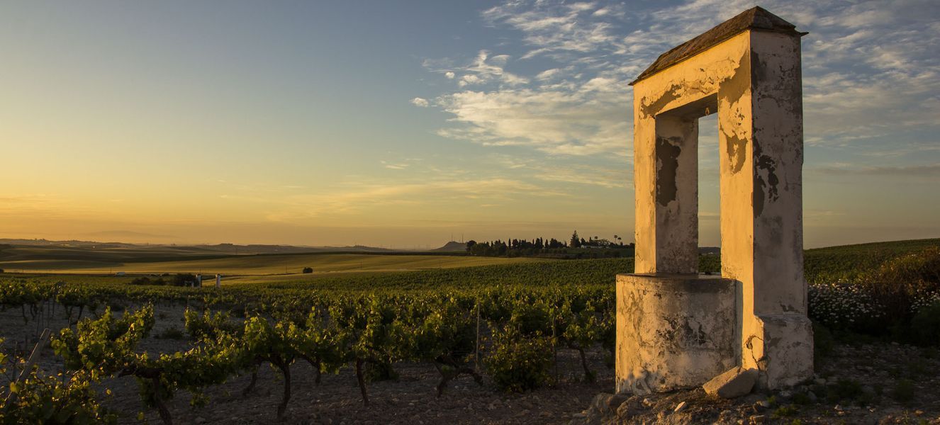 bodega Bodegas Luis Pérez