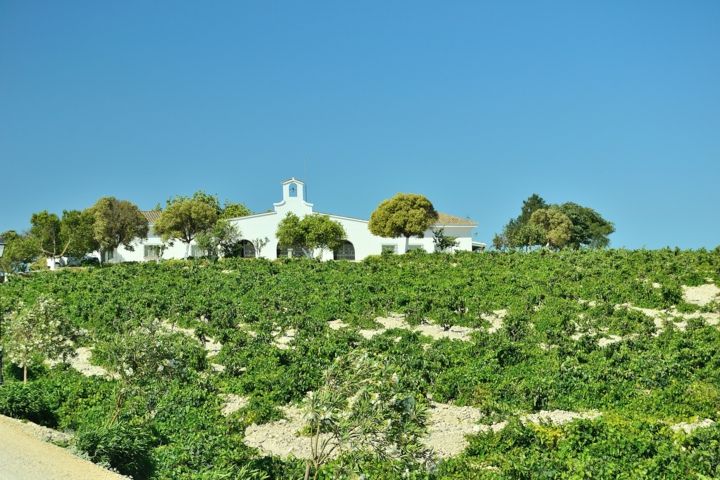 bodega Jose Estevez