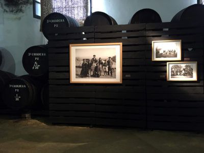 bodega Bodegas Tradición