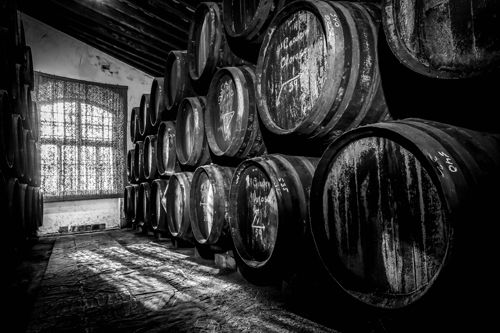 bodega Bodegas Tradición