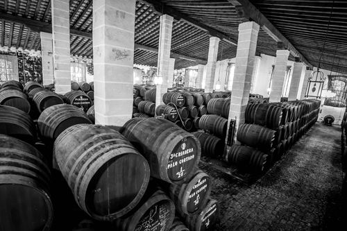 bodega Bodegas Tradición