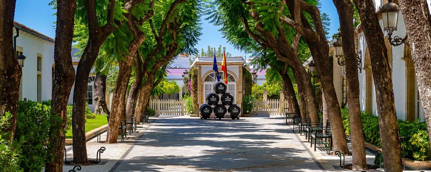 bodega Osborne