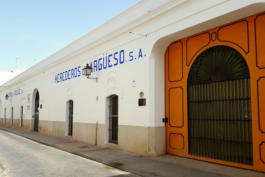 bodega Bodegas Argüeso