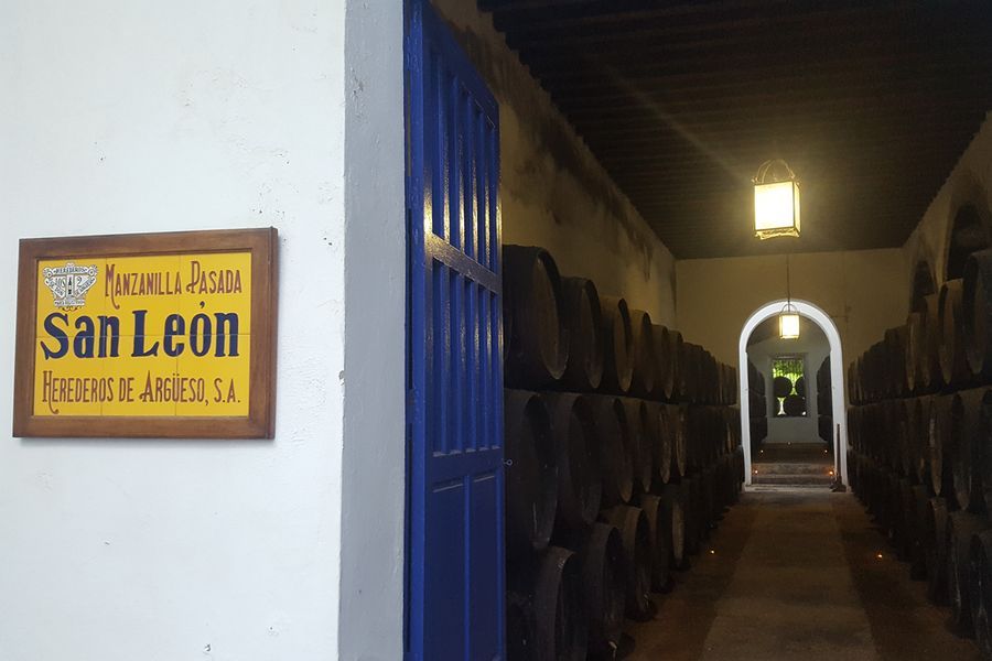 bodega Bodegas Argüeso