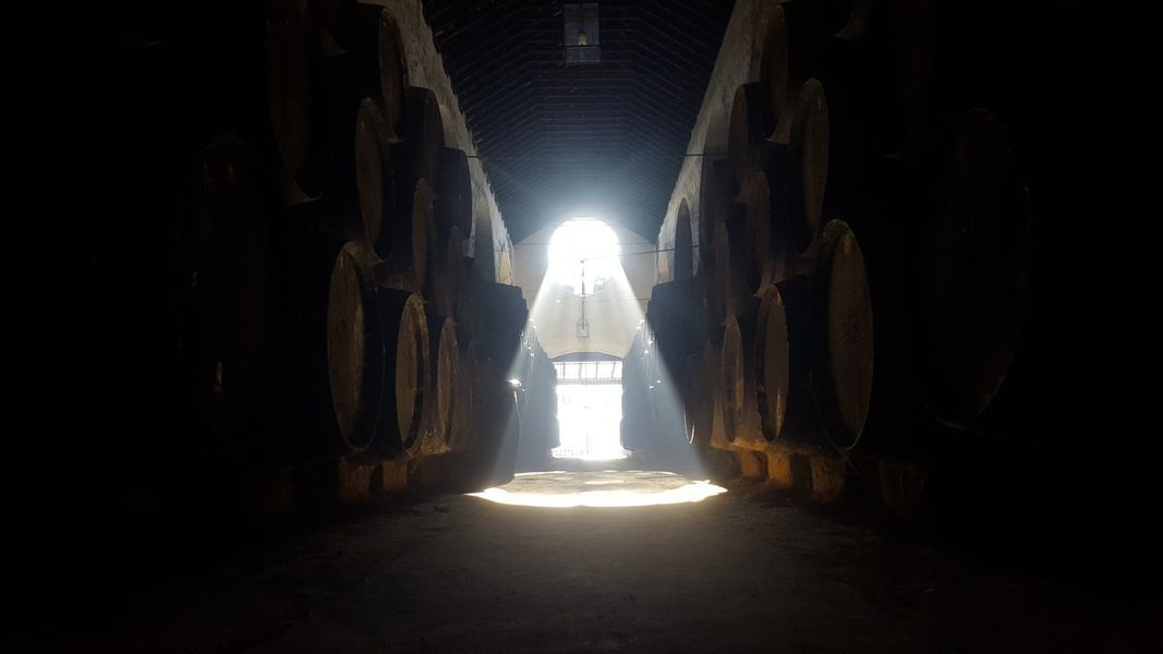 bodega Bodegas Argüeso