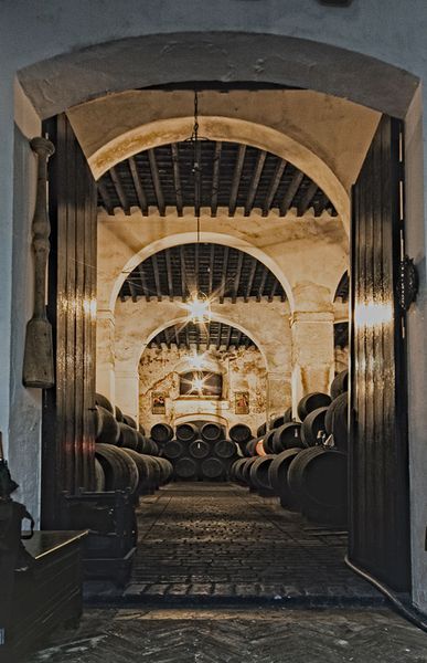 bodega Bodegas Yuste