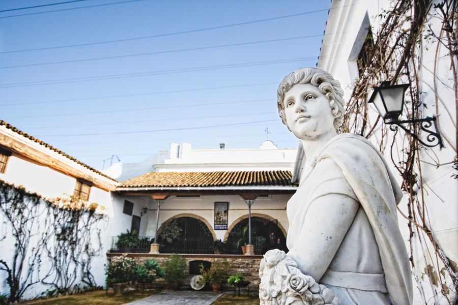 bodega Bodegas Yuste