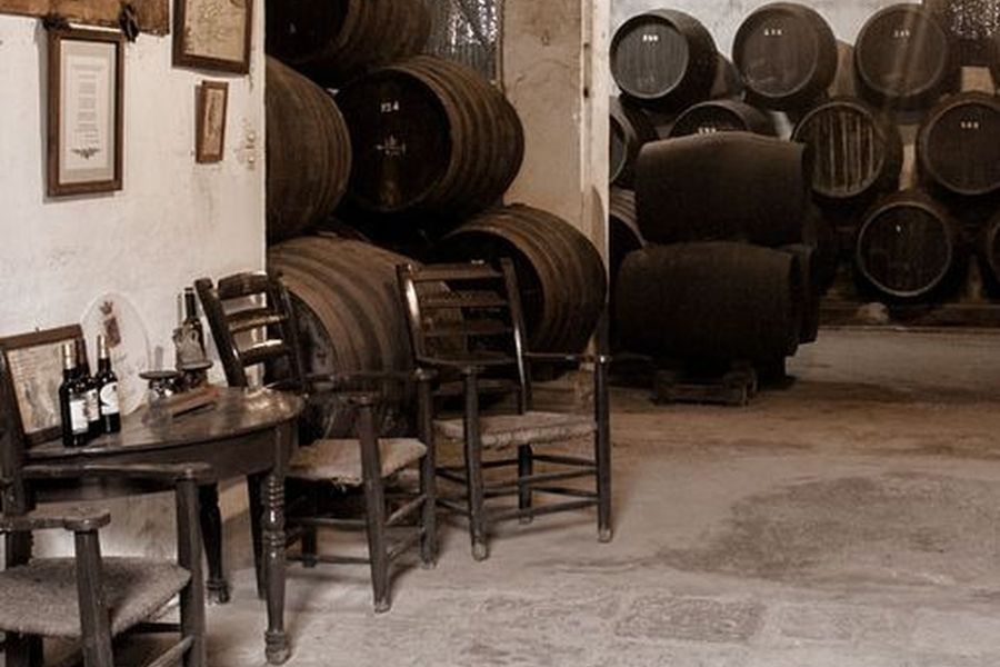 bodega Bodegas Halcón