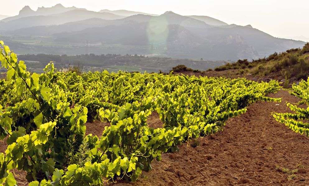 bodega Bodegas Tierra