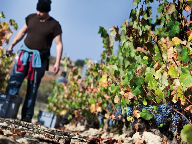 bodega Bodegas Tierra