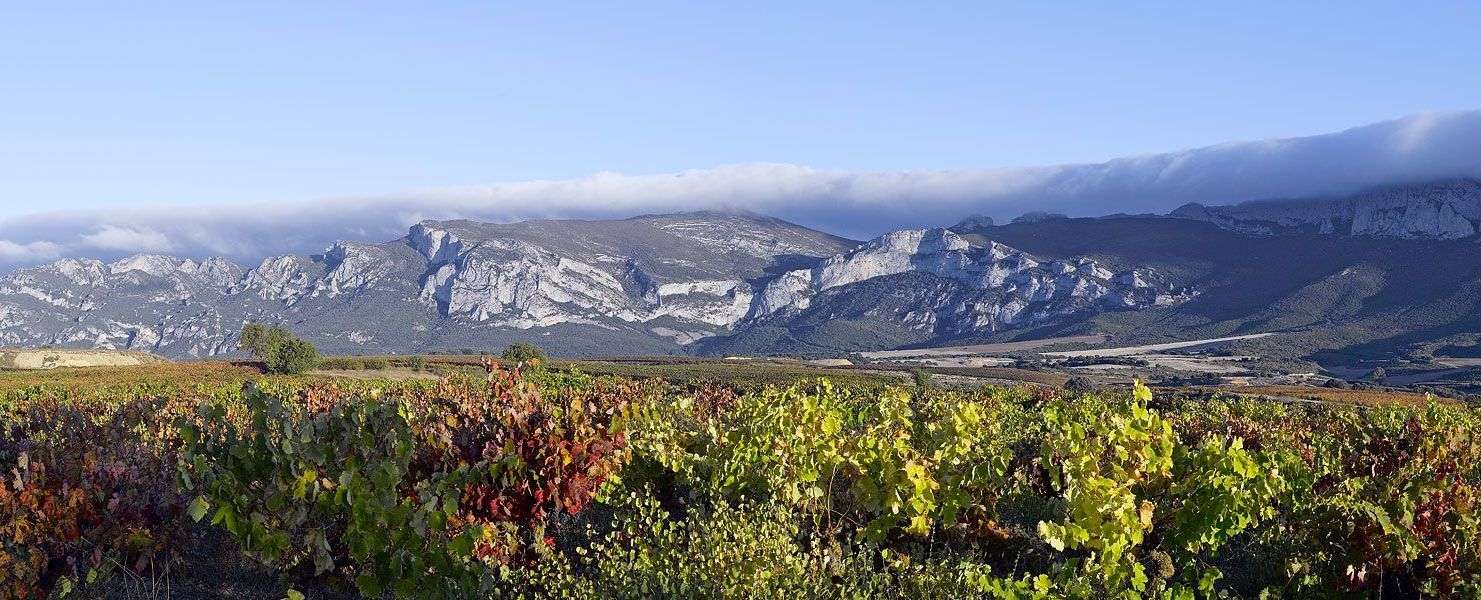 bodega Altos de Rioja