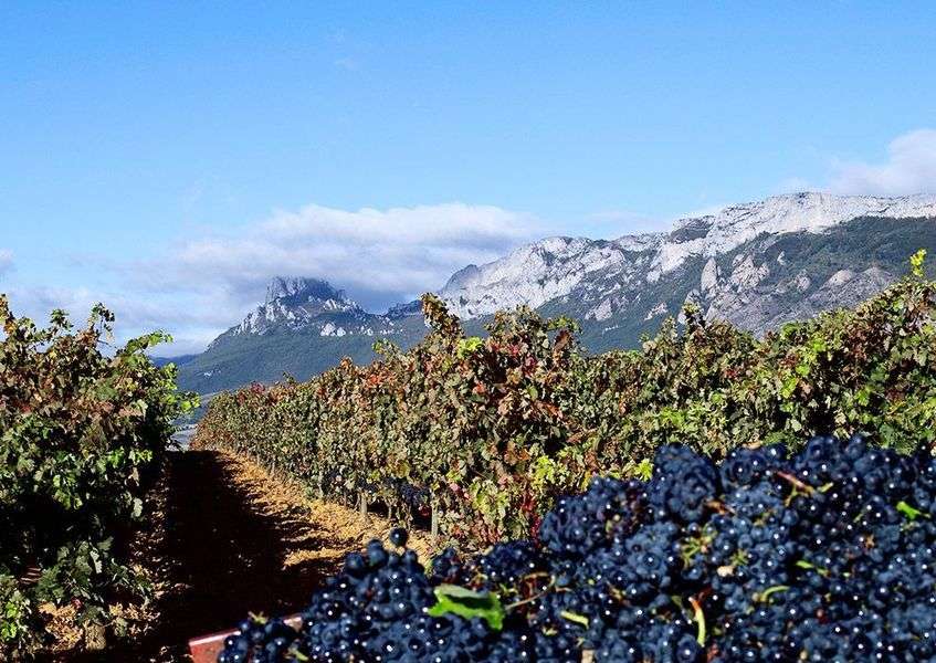 bodega Altos de Rioja