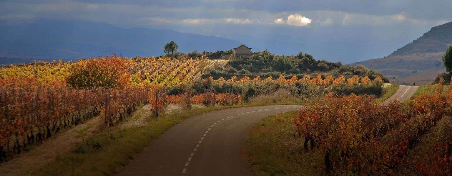 bodega Bodegas Amador García