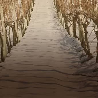 bodega Bodegas Amador García