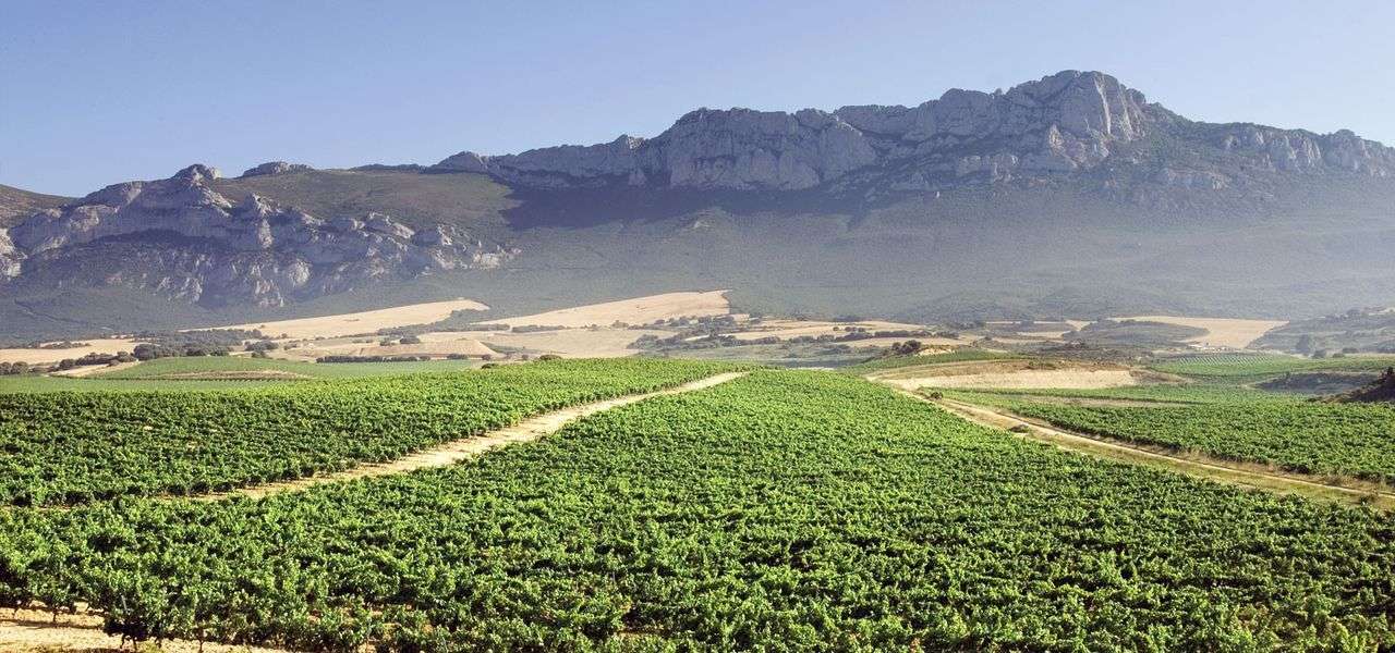 bodega Campillo