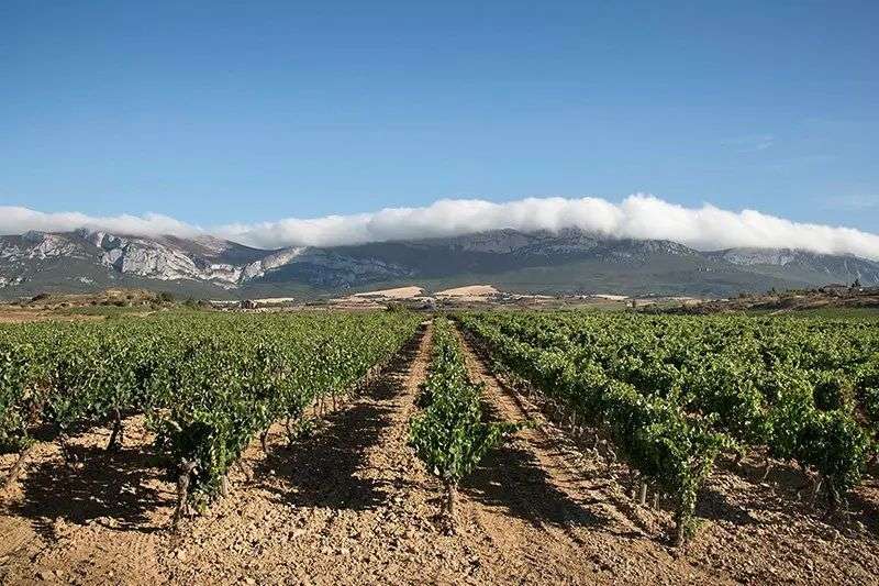 bodega Eguren Ugarte