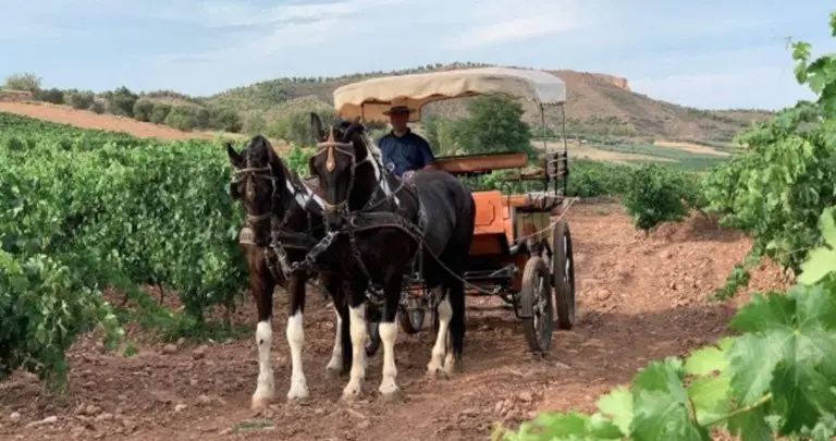 bodega Eguren Ugarte