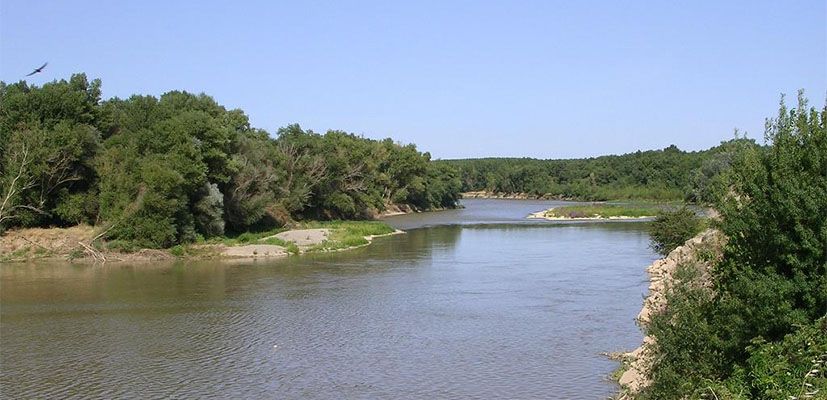 bodega Ilurce