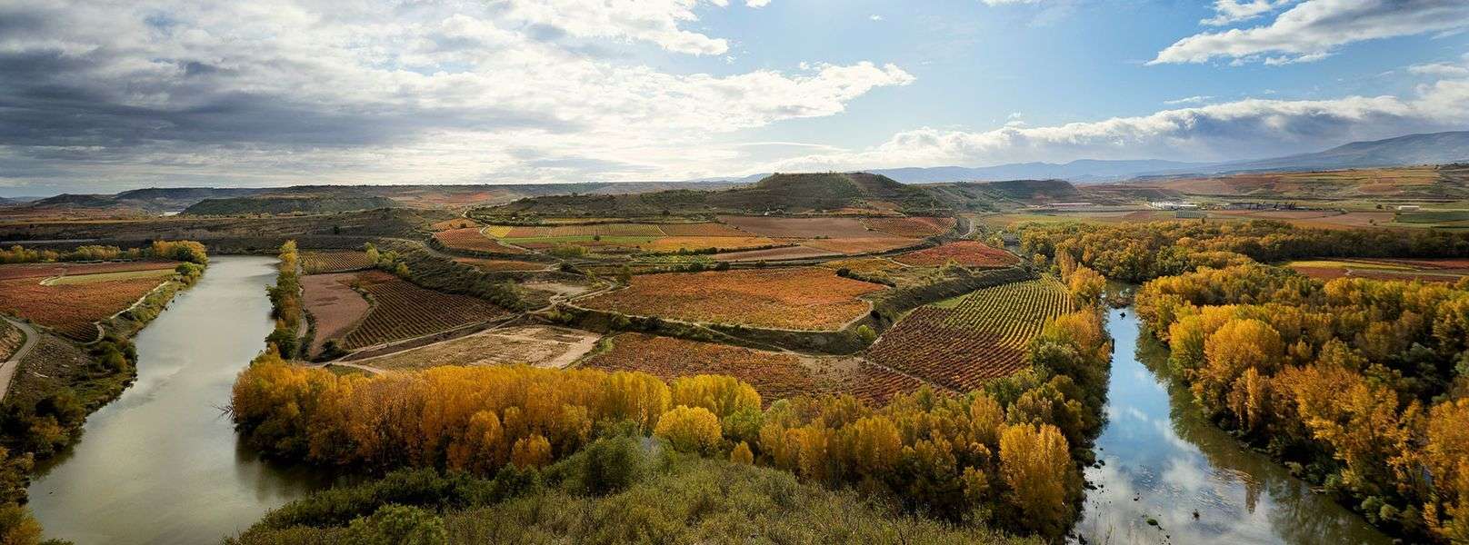 bodega Covila