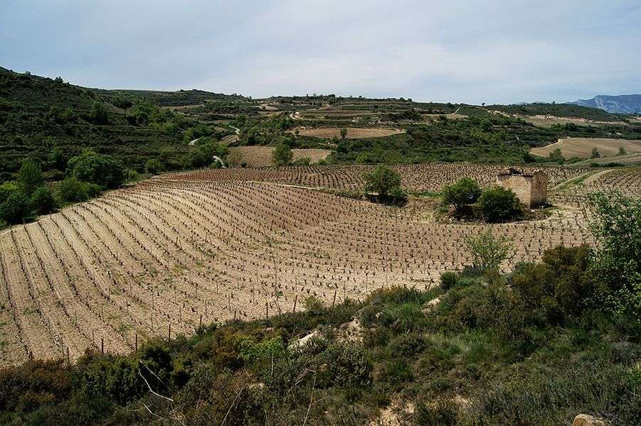 bodega Laukote