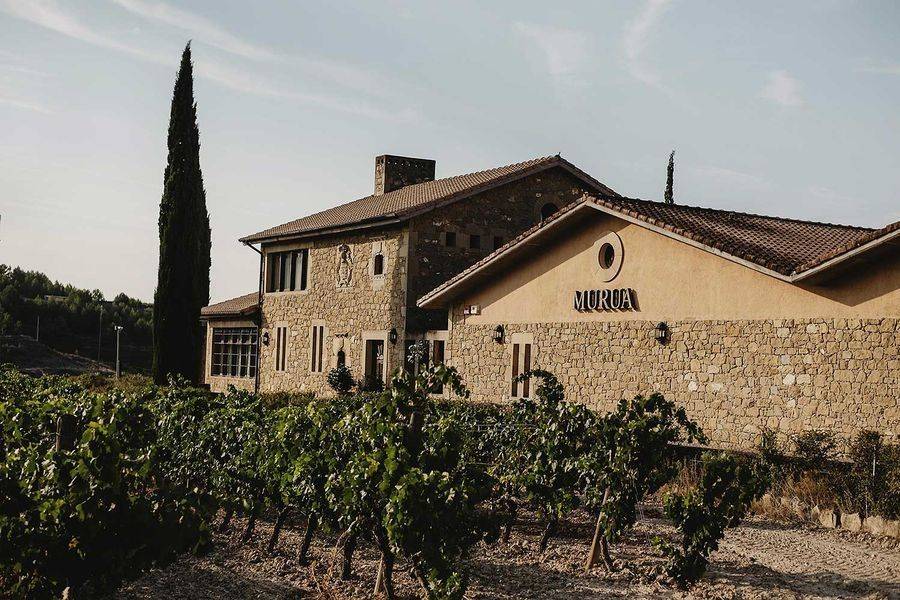 bodega Murua