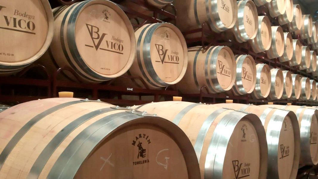 bodega Bodega Vico