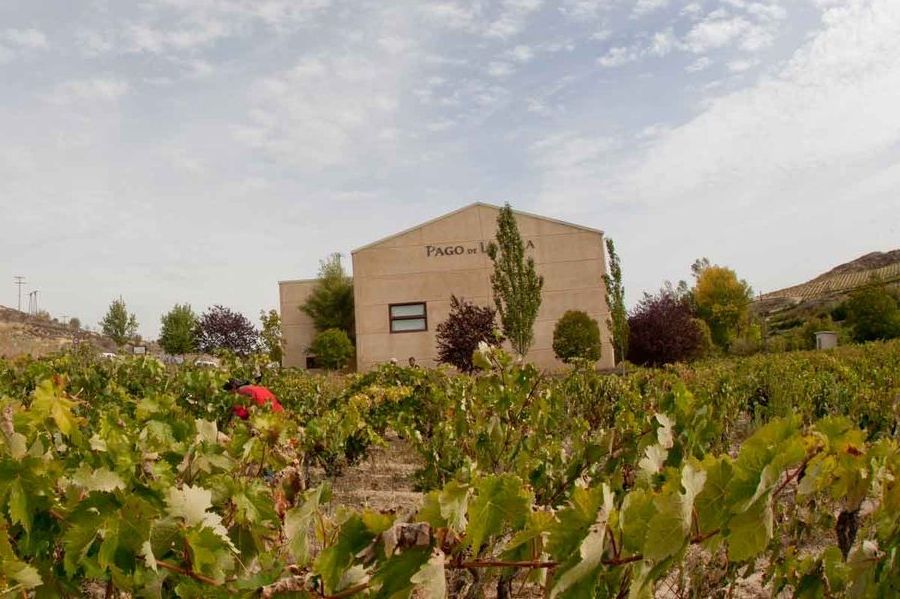 bodega Pago de Larrea