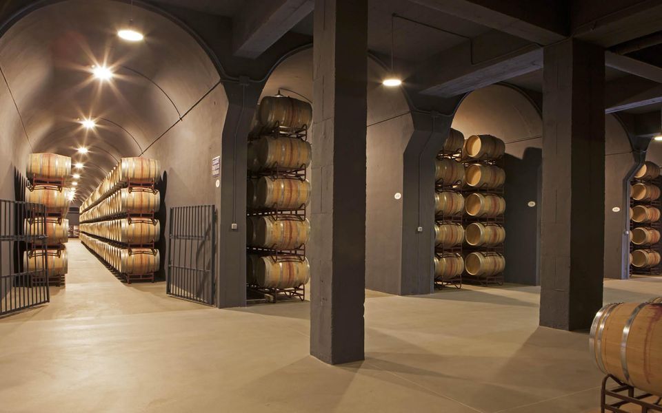 bodega Bodegas Cosme Palacio