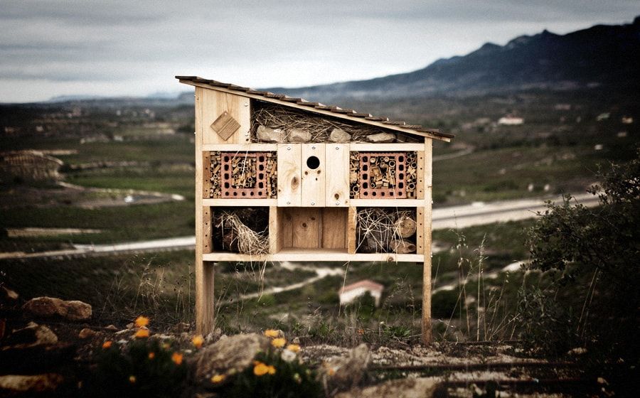 bodega Casa Primicia