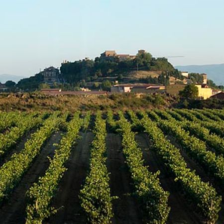 bodega Ruiz de Viñaspre