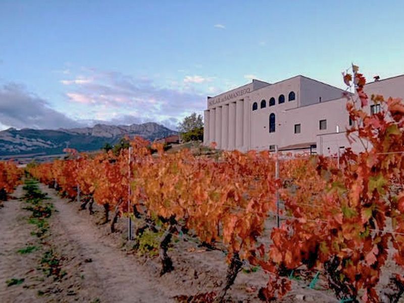 bodega Solar de Samaniego