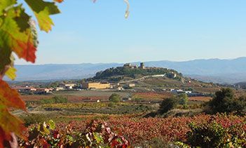 bodega Solar Viejo