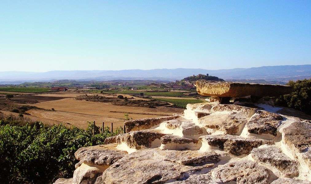 bodega Solar Viejo