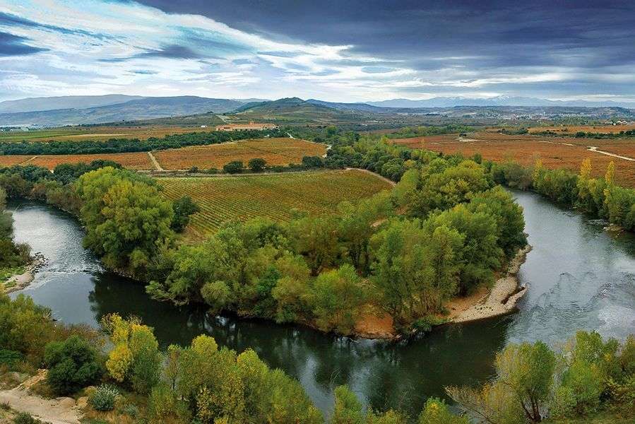 bodega Valdelana