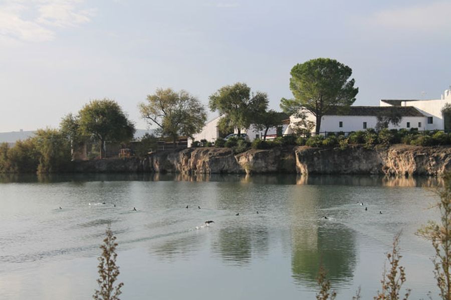 bodega Cortijo de Jara