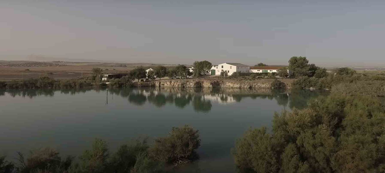 bodega Cortijo de Jara