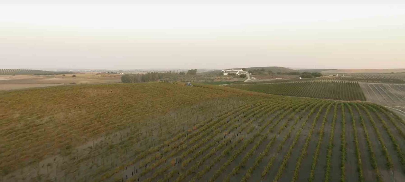 bodega Cortijo de Jara