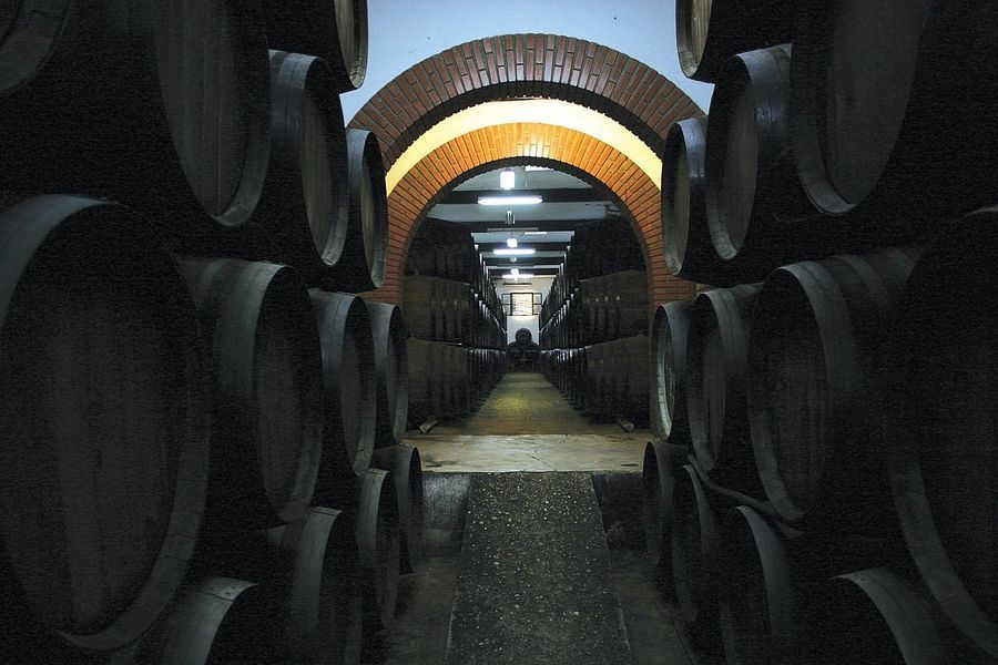 bodega Bodegas Jesús Nazareno 