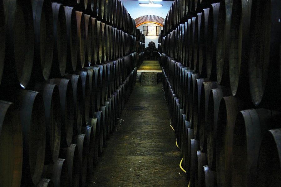 bodega Bodegas Jesús Nazareno 