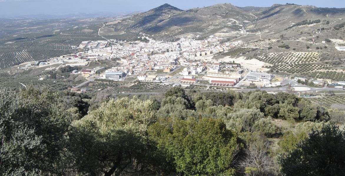 bodega Bodegas Luque