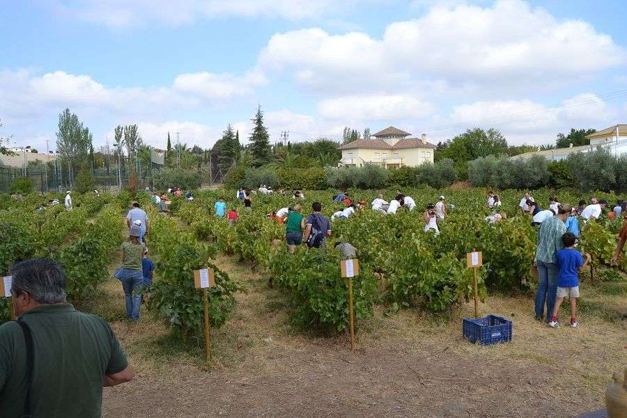 bodega Bodegas Robles