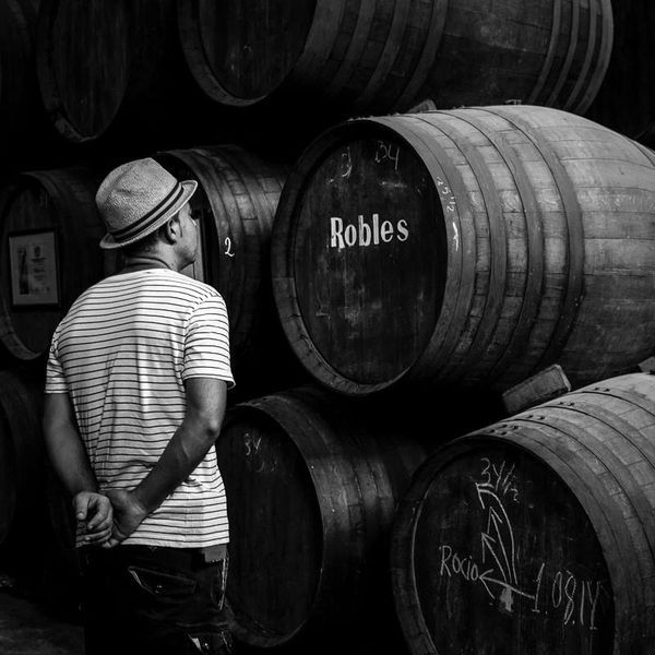 bodega Bodegas Robles