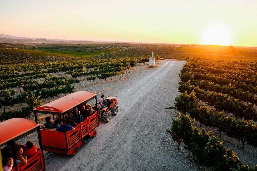 bodega Lagar El Monte