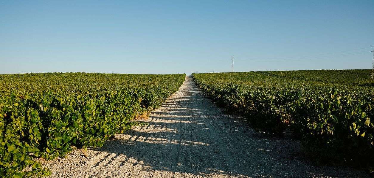 bodega Lagar El Monte