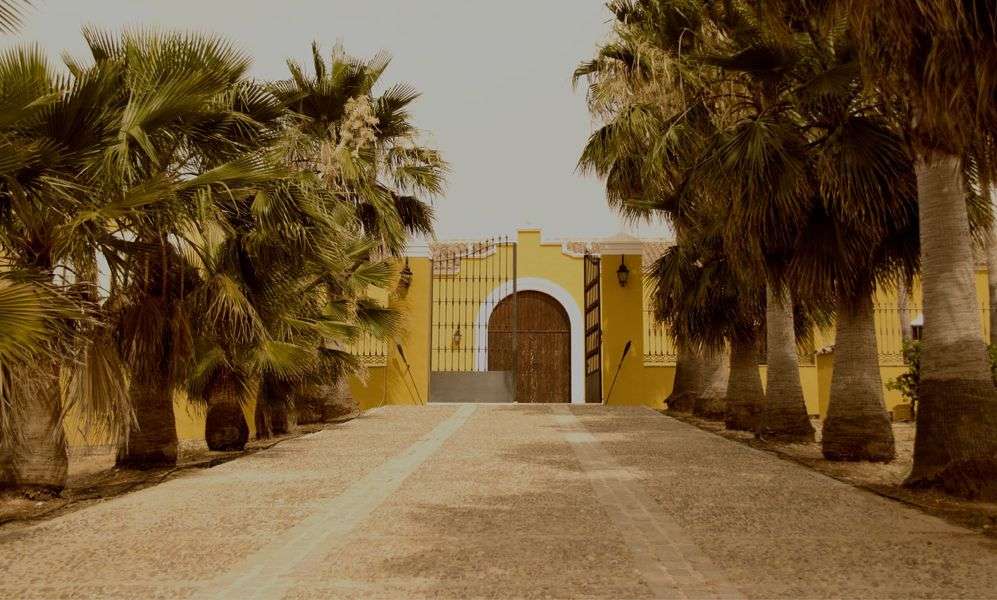 bodega Bodegas El Pujío