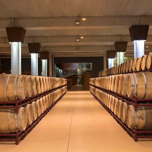 bodega Real Agrado - Viñedos de Alfaro