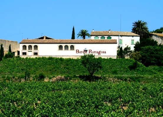 bodega Cava Berdié - Jovani Vins